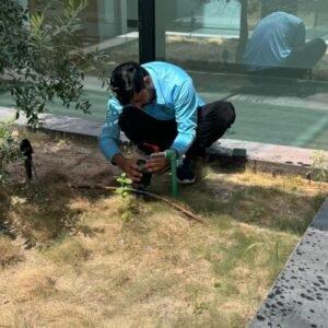 irrigation-services-near-me-in-Dubai-green-heaven-landscape