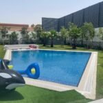 swimming pool and landscape