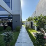 gardening and landscape services in dubai - project image 32